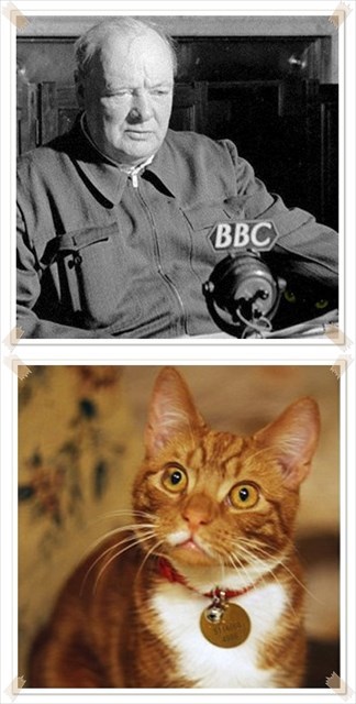 Jock VI now calls Chartwell home. 