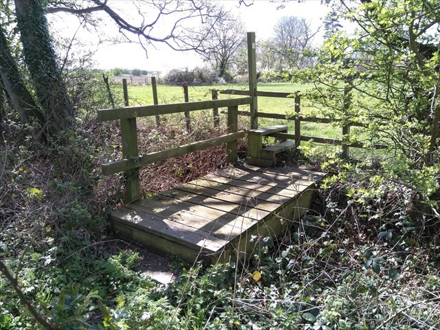Little Bridges Norton Disney
