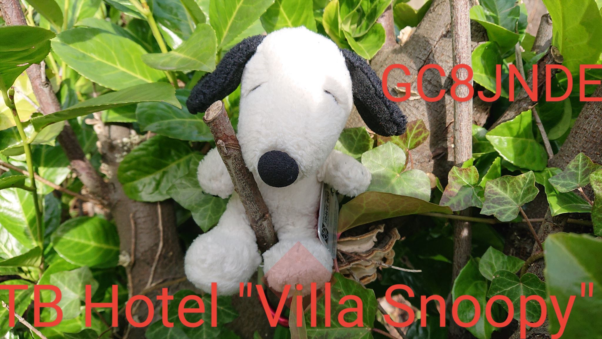 TB Hotel Villa Snoopy