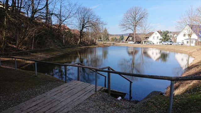 Teichansicht
