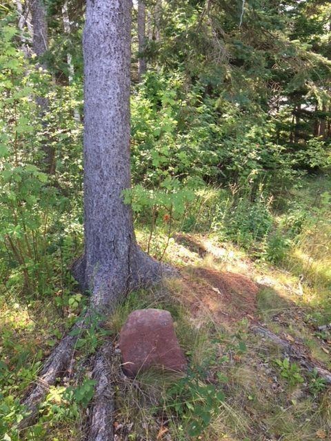 Unmarked Black Grave