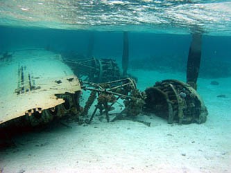 B-24 wing and engines
