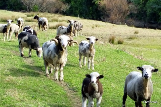 Onaero Brick, Tile & Pottery Company