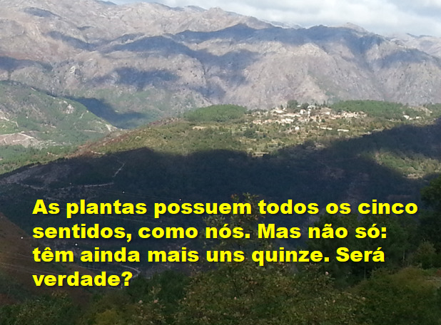 #07 – SAÚDE 8