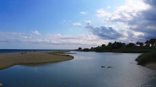 Delta de la tordera