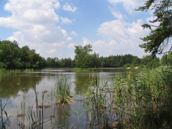 Ostrůvek od východu
