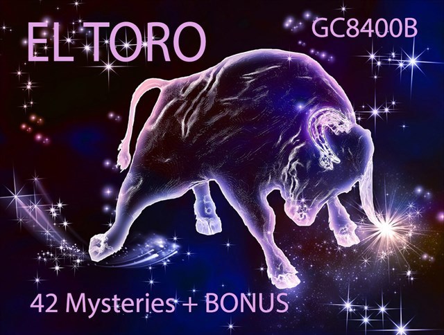 el toro banner el toro banner