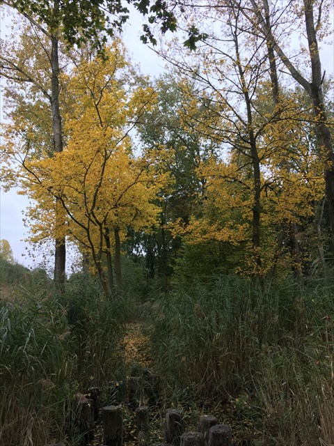 Herfst op Speeleiland