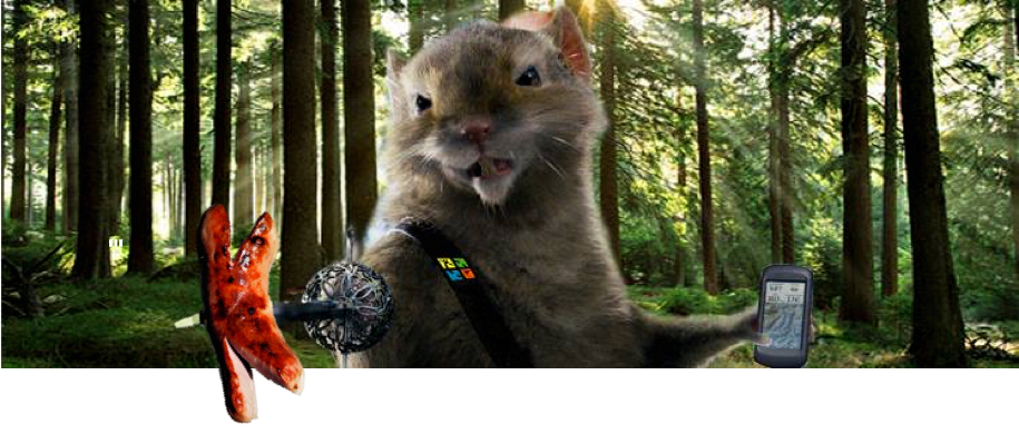 Riepichiep am Bräteln