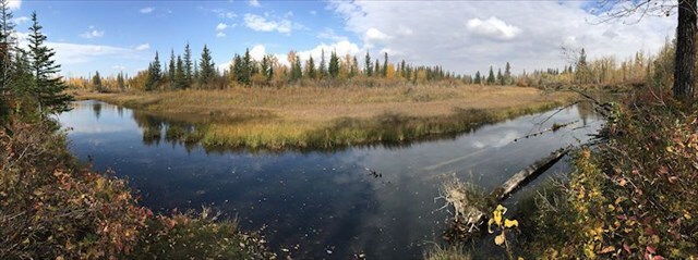 Oxbow lake at Weaselhead Oxbow lake at Weaselhead