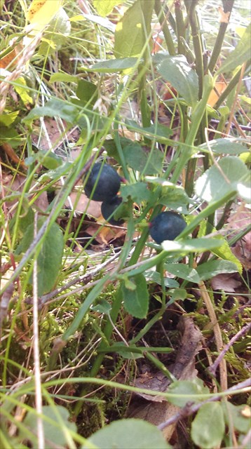 Więcej wartości dodanej ;)