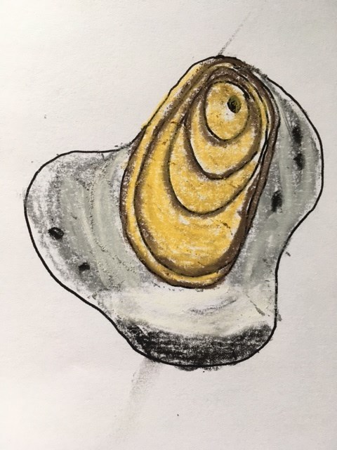 c1ae3ba7-06ac-4c4a-ae46-ac9c71ae144e_l.jpg (480×640)