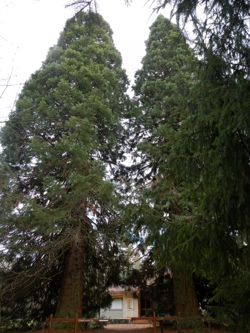 GC6C27E La Maison de l'Arboretum de Cardeilhac. (Traditional Cache) in