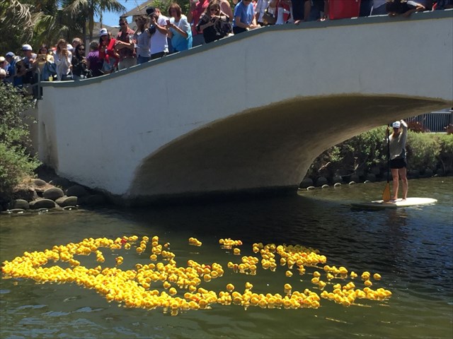 Rubber Ducky Race
