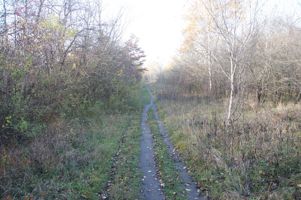 Weg zum Endlicher Kreuz