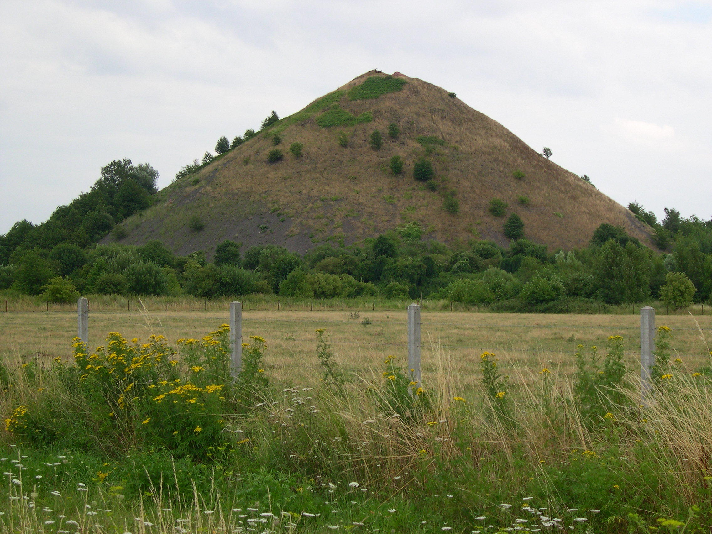 Le terril Renard
