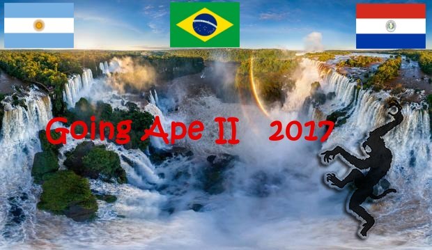 Going A.P.E. II 2017