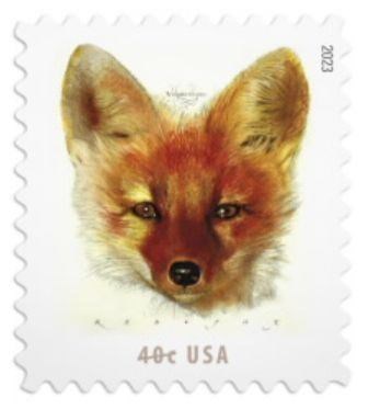 redfox