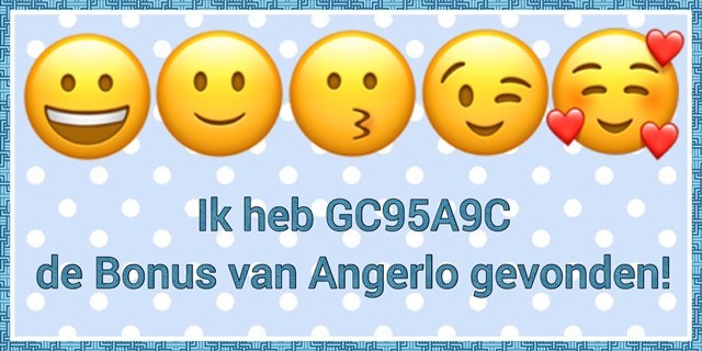 de Bonus van Angerlo