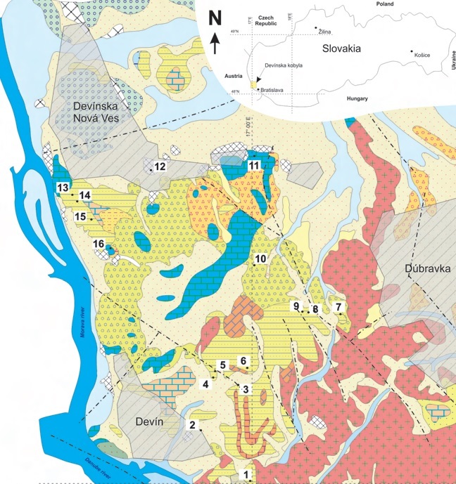 Lokality na Devínskej Kobyle s výskytom skamenelín