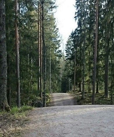 Metsolansuon De Geer -moreenia