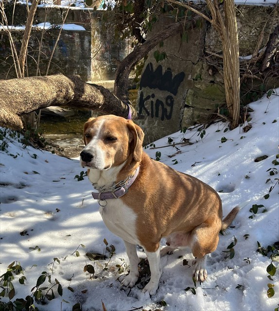 Please join SLAGA, we welcome new members!