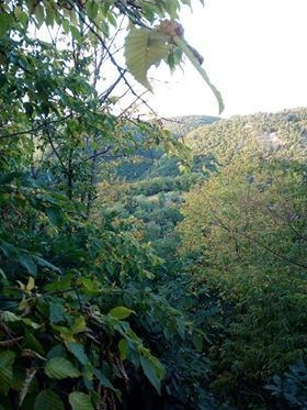 Burg Waldeck versteckt
