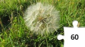 Jigsaw puzzle - BM-17 Clocks