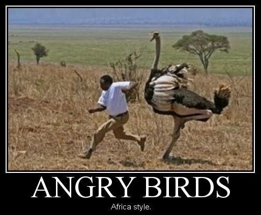 Africa