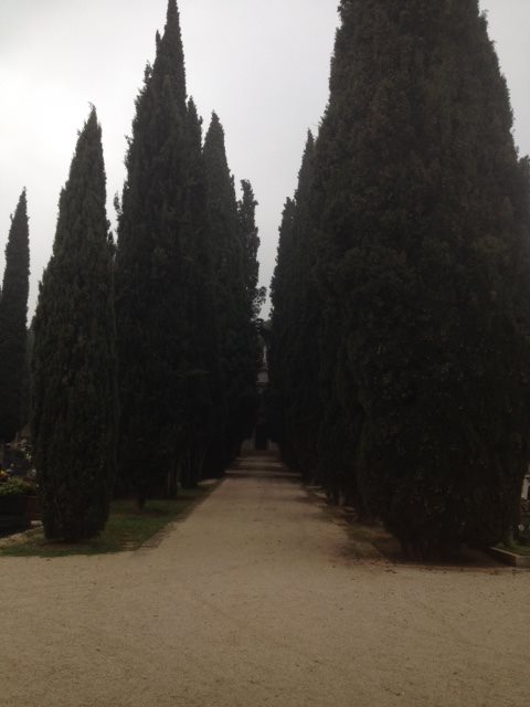 Čempresi prema kapeli