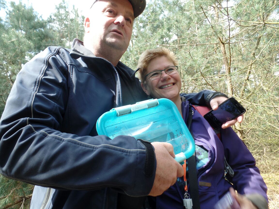 Samen doosjes vinden