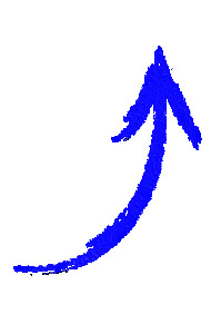 Haut