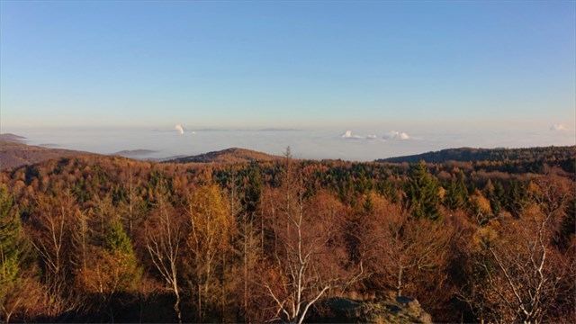 Výhled z rozhledny v listopadu 2020 (klikněte pro zobrazení v plné velikosti) Výhled 2020