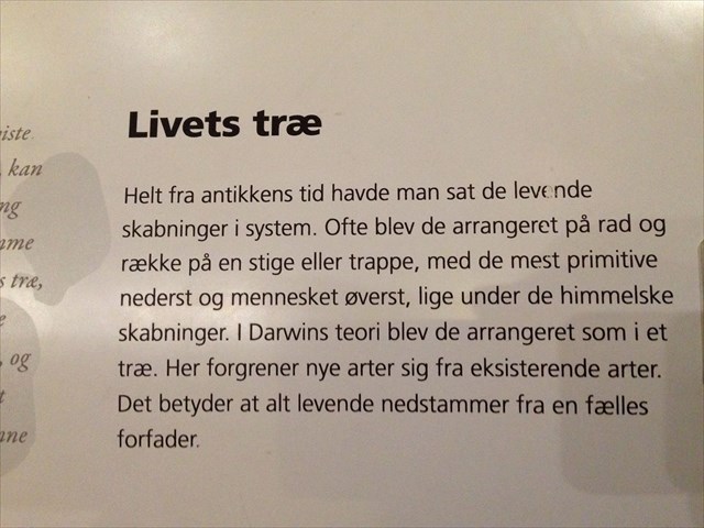 cd61b7ec-4d88-408f-a4e2-3745026c0733_l.jpg (640×480)