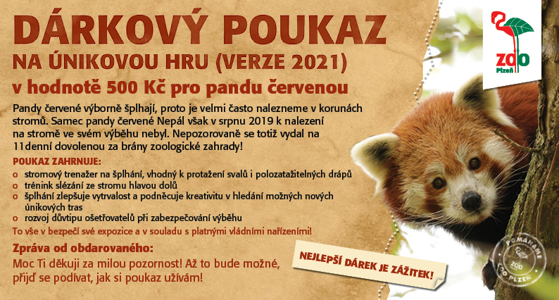 Darkovy poukaz pro pandy