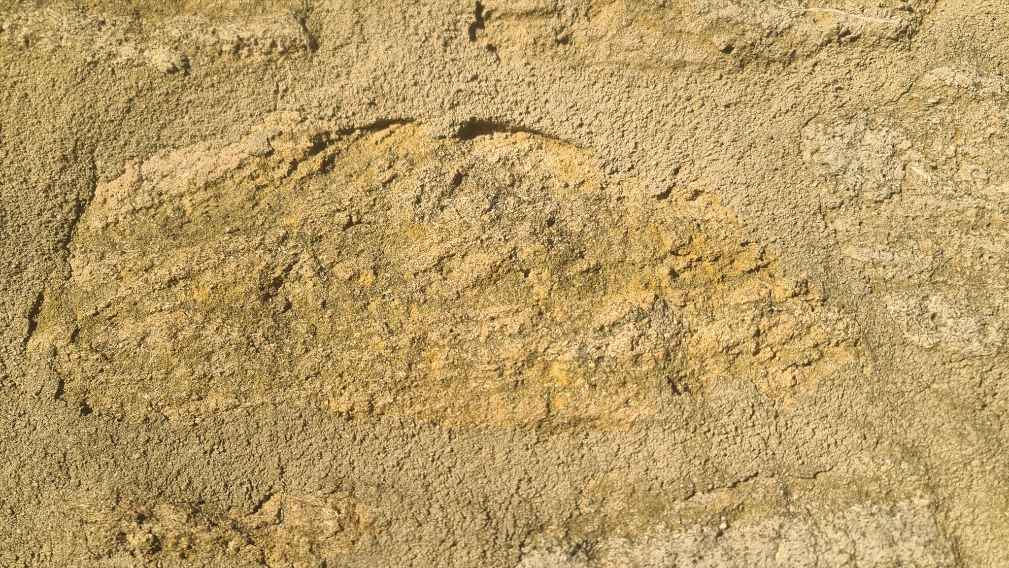 Sudmerbergsandstein