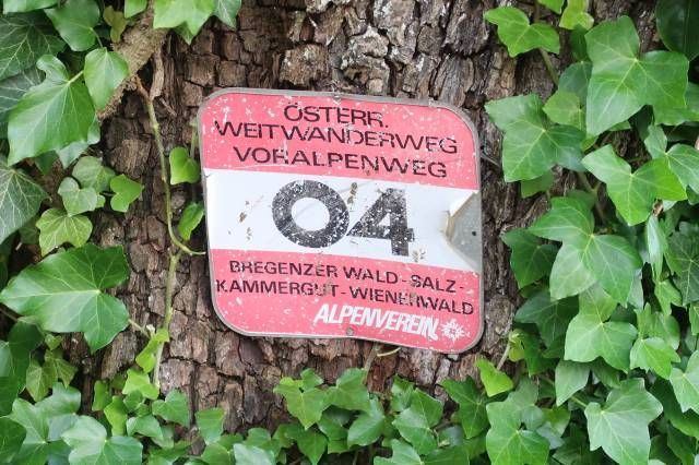 Voralpenweg 04