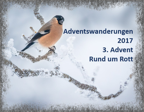 3. Advent 2016