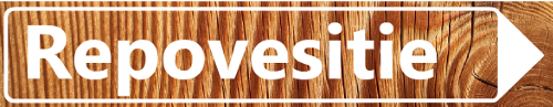 Repovesitie