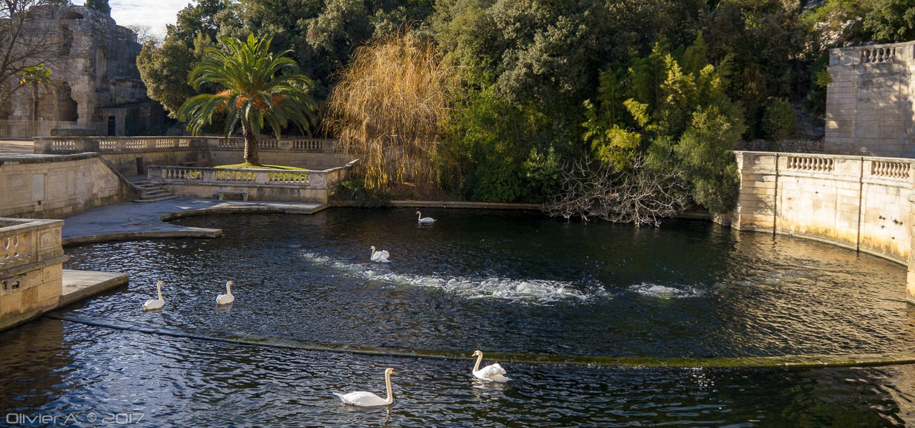 2017 © Itamae (^.^)