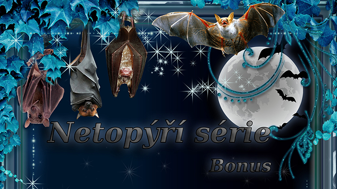 Netopyri serie