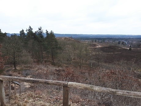 [View]