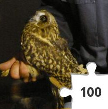 Jigsaw puzzle - Jorduggla