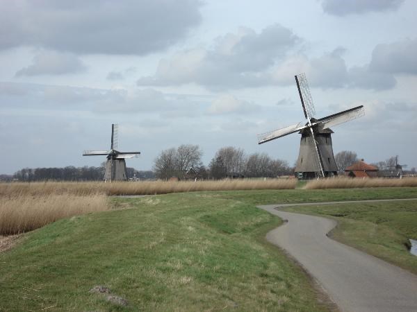 De polder Mijzen