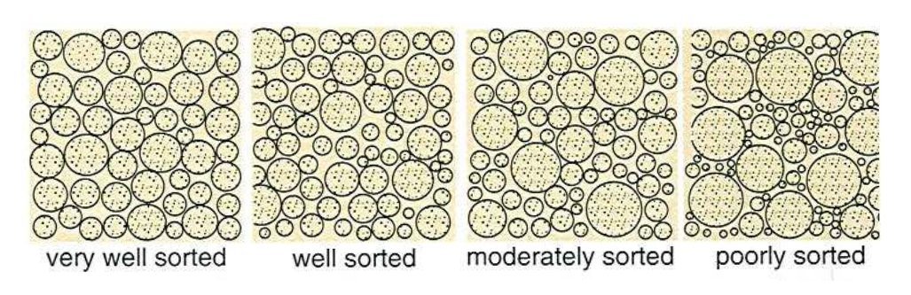 Grain sorting