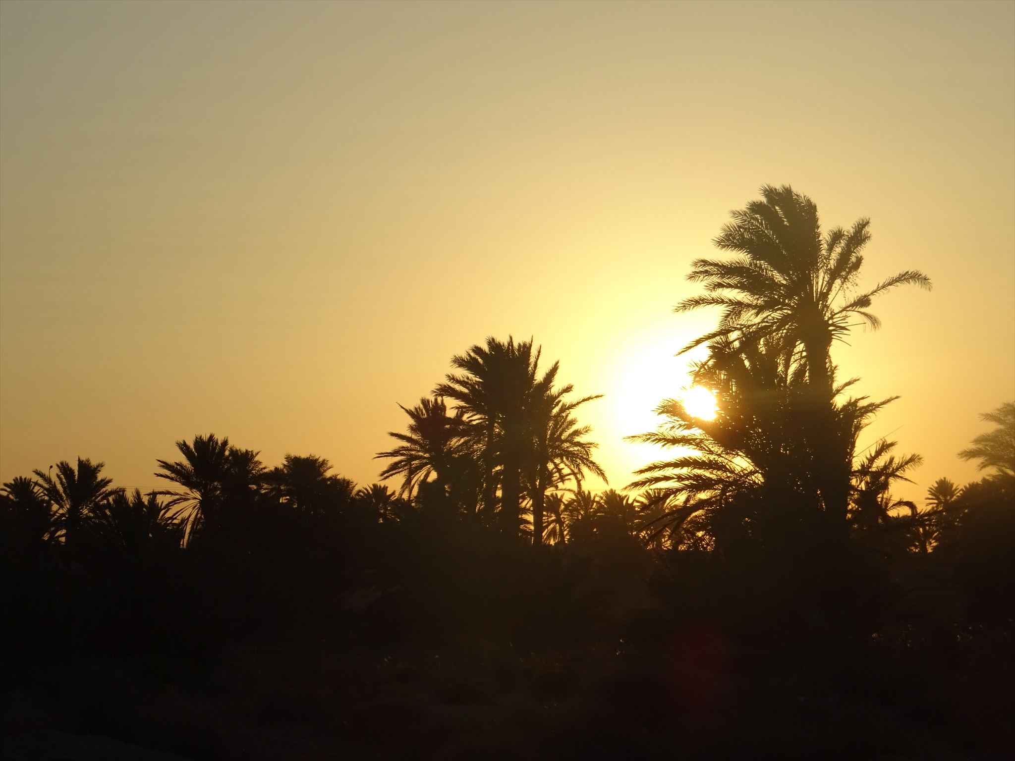 Sonnenuntergang auf Djerba