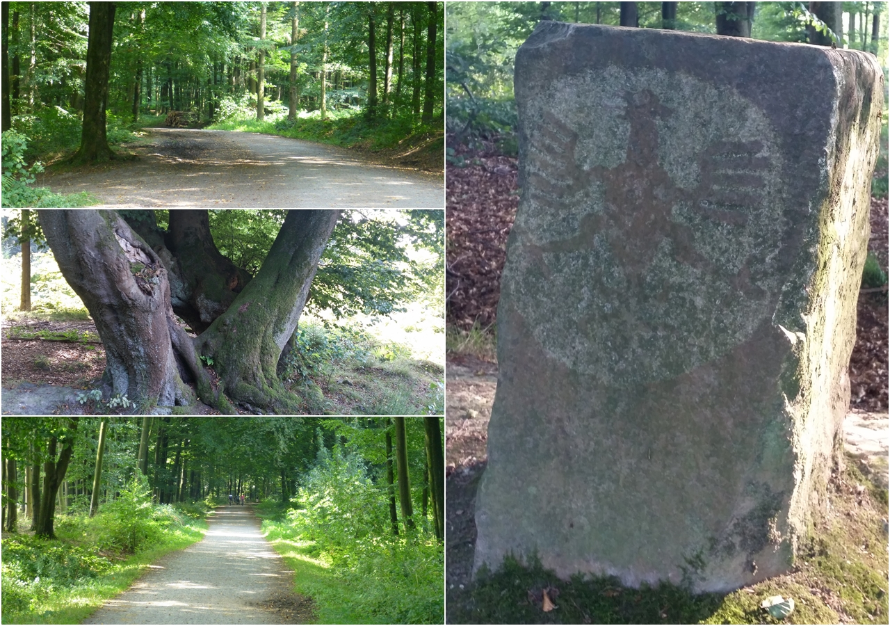 Die grüne Stadtmauer