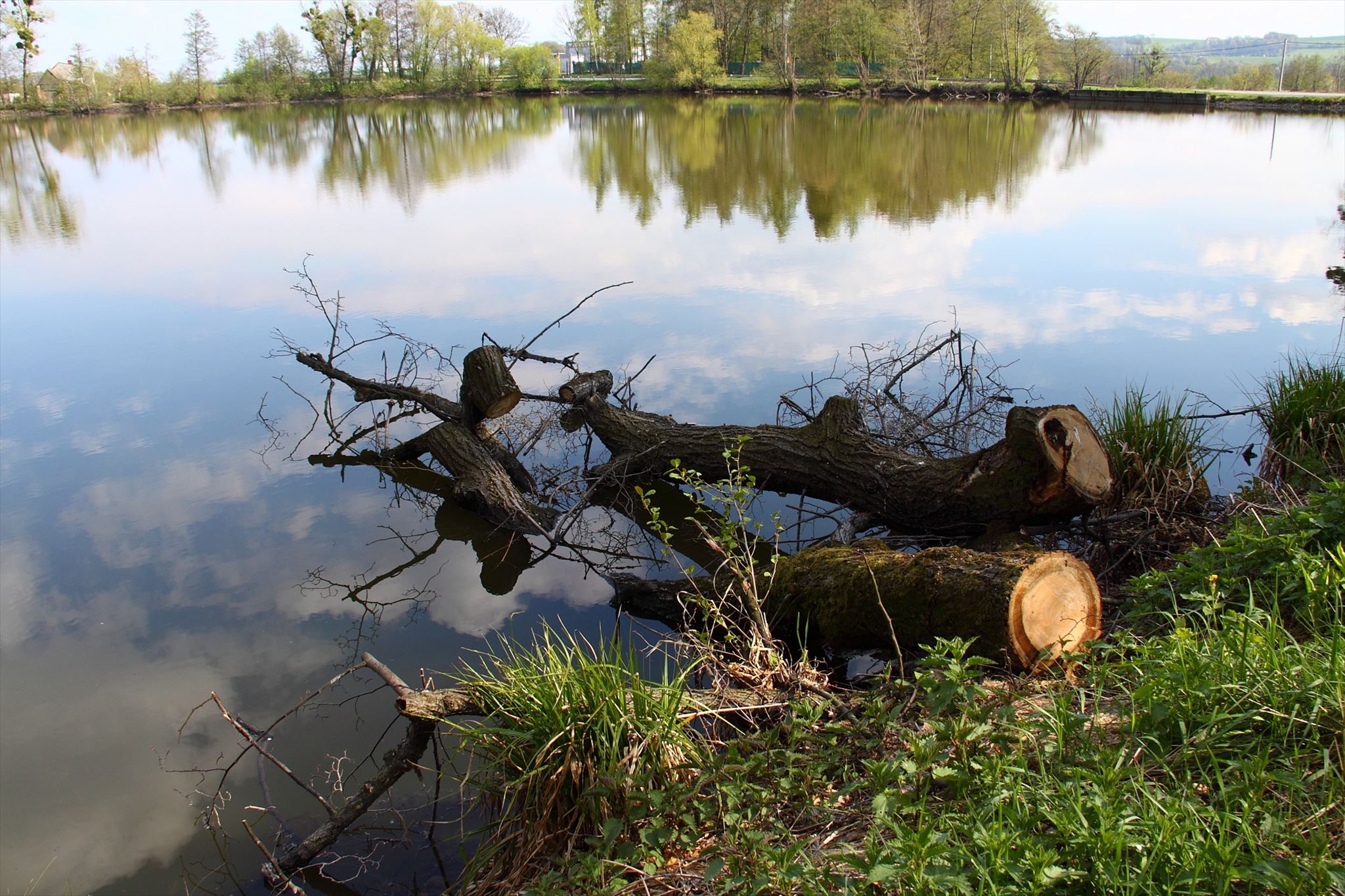 GC74V8C Dolnobenesovske rybniky 4 Prehyne (Traditional Cache) in