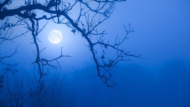 A Blue Moon!