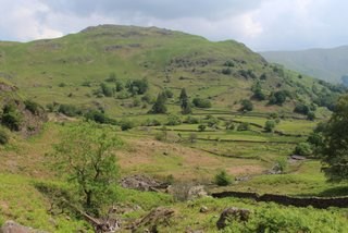 The View From the Cache